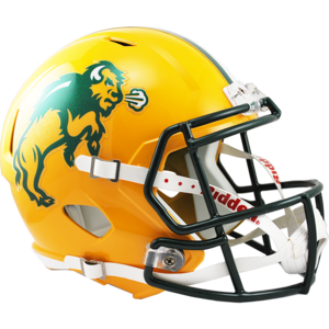 North Dakota State Bison Replica Speed